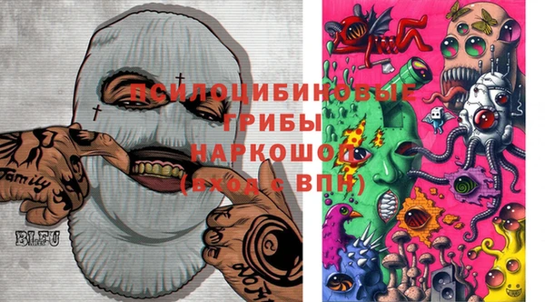 спиды Алзамай